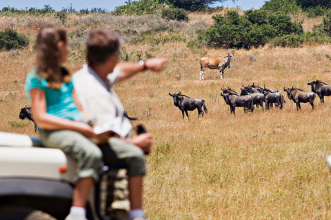 5 Tage Tarangire, Serengeti &amp; Ngorongoro Gruppen-Safari