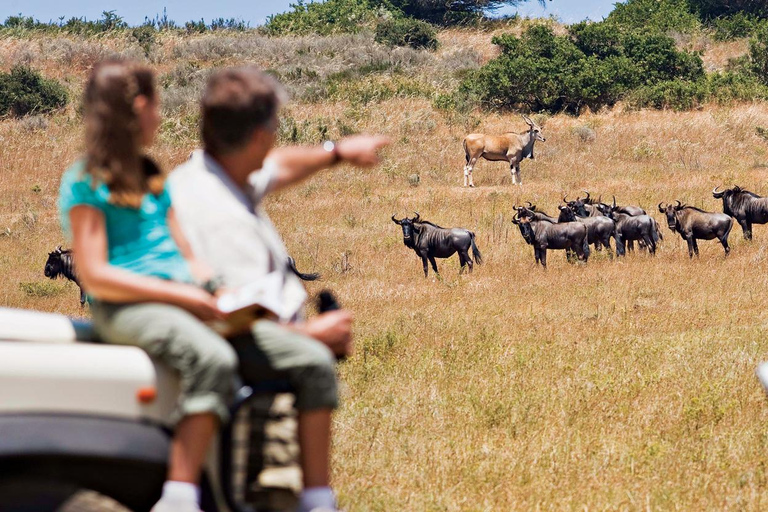 Safari en groupe de 5 jours dans le Tarangire, le Serengeti et le Ngorongoro