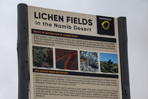 Côte des squelettes : visite guidée de Cape Cross et Henties BayCôte des squelettes : Cape Cross et Henties Bay - Visite guidée
