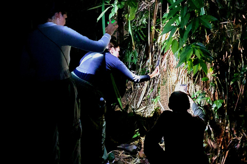 Khao Sok: Half-Day & Night Wildlife Trek and Jungle Dinner Option 6: Half-Day & Night Trek with Dinner From Khao Lak