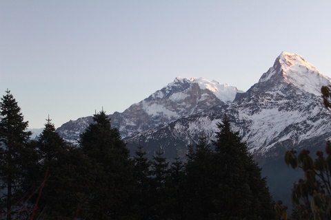 Från Pokhara Budget: 2 dagar 1 natt Ghorepani Poon Hill Trek