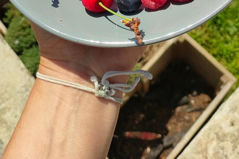 Panoramic breakfast, Santa Lucia Di Moriani