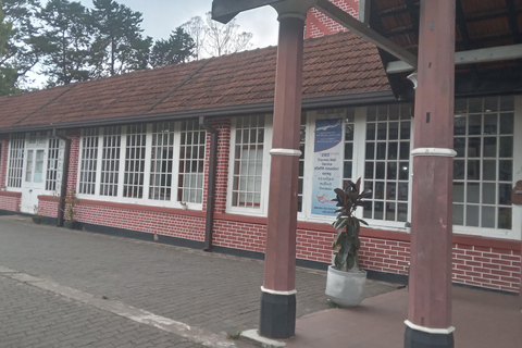 From Kandy: Nanuoya Railway Station Tuk-Tuk Transfer & Tour
