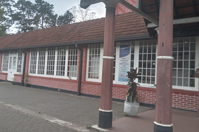 From Kandy: Nanuoya Railway Station Tuk-Tuk Transfer & Tour