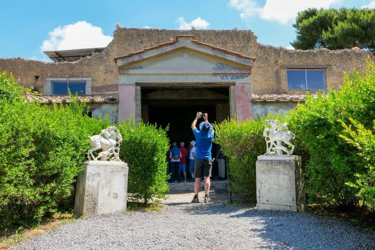 Rome: Vesuvius, Pompeii or Herculaneum by High-speed Train Pompeii Spanish Guided Tour & Vesuvio Entry ticket