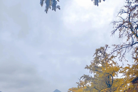 Guilin: Private Ginkgo Village and DaXu Ancient Town Tour