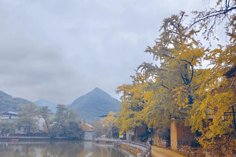 Guilin: Private Ginkgo Village and DaXu Ancient Town Tour