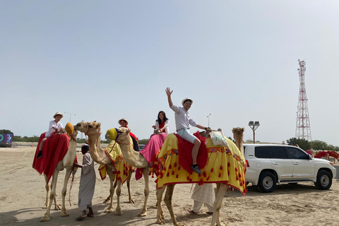 Doha: Sunrise Desert Safari to Inland Sea with Camel Ride