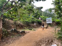 From kandy Train, and Pool Club Day Tour with Pickup - Housity