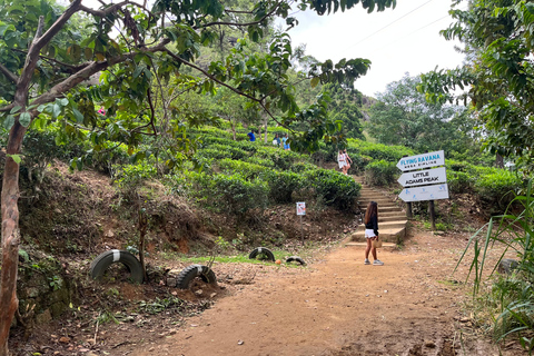 Desde el tren de Kandy, excursión de un día a Pool Club con servicio de recogidaExcursión de un día a Ella desde Kandy