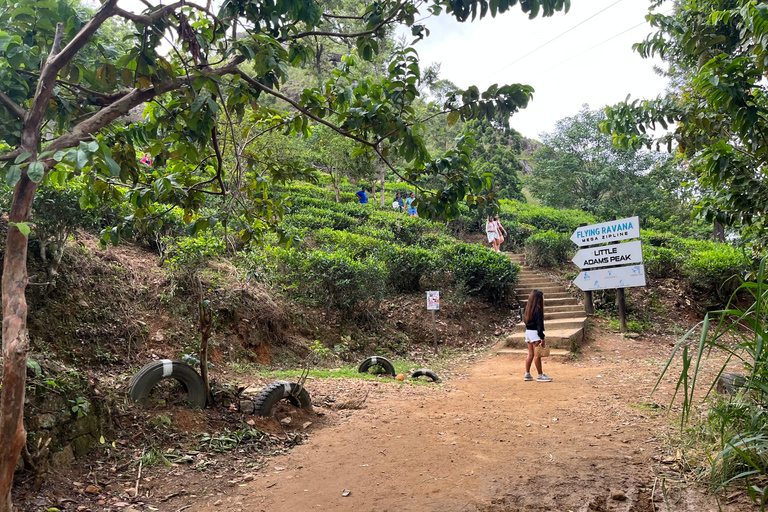 Desde el tren de Kandy, excursión de un día a Pool Club con servicio de recogidaExcursión de un día a Ella desde Kandy