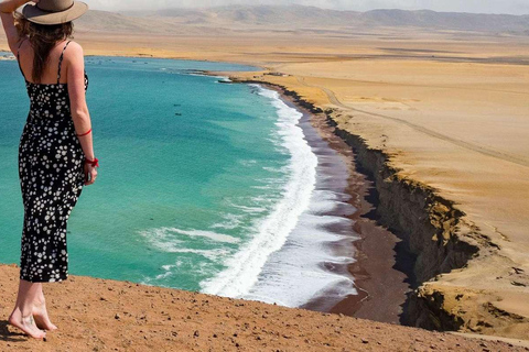 Da Ica | Tour di 2 giorni di Ica- Huacachina e Paracas