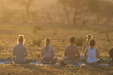 12 Days Wildlife Adventure & Wellness Safari