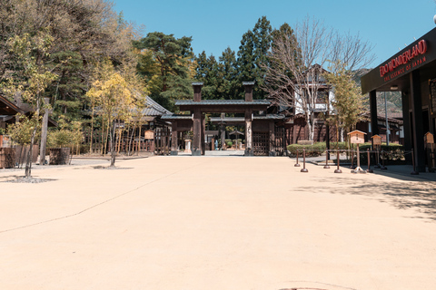 Nikko Private Sightseeing Tour with Hotel Pickup Included