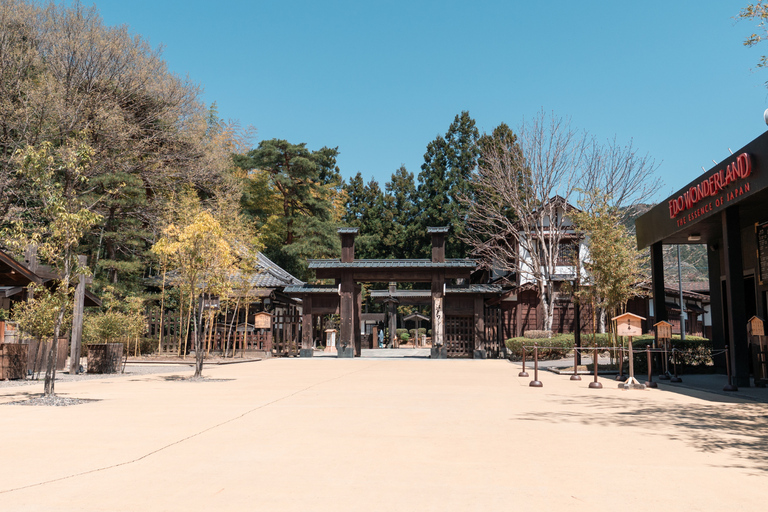 Nikko Private Sightseeing Tour with Hotel Pickup Included