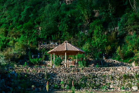 Birdwatching in Cusco || Tour Hummingbirds Observatory ||Cusco Birdwatching | Sacred Garden Hummingbirds Observatory