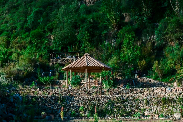 Birdwatching in Cusco || Tour Hummingbirds Observatory ||Cusco Birdwatching | Sacred Garden Hummingbirds Observatory