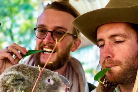 Baby Animals, Boomerangs & BBQ Lunch From Sydney: Baby Animals & Boomerangs Tour with BBQ Lunch