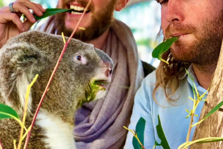Baby Animals, Boomerangs & BBQ Lunch From Sydney: Baby Animals & Boomerangs Tour with BBQ Lunch