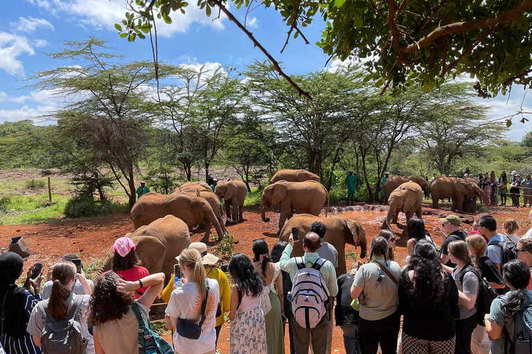 Nairobi: Elefantenwaisenhaus und Giraffenzentrum TagestourElefantenwaisenhaus und Giraffenzentrum Tagestour