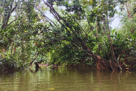 Private Kayaking Adventure: a 2-hour Wildlife Escape Self-Guided Kayaking Adventure: a 2-hour Wildlife Escape