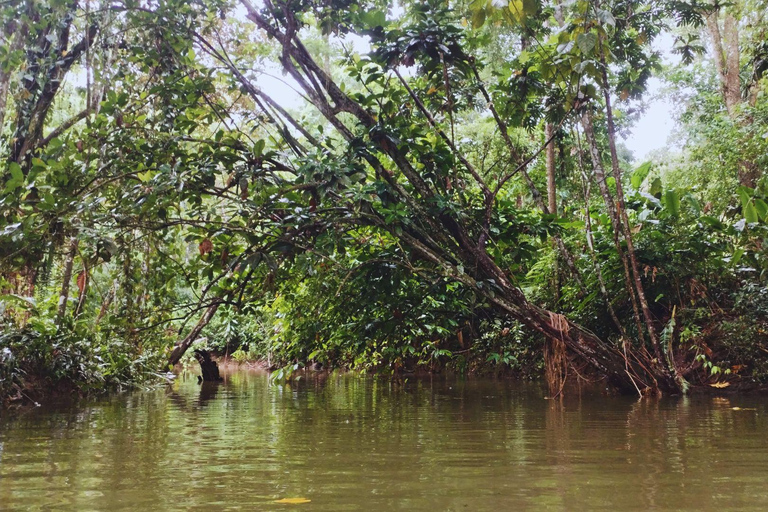Private Kayaking Adventure: a 2-hour Wildlife Escape Self-Guided Kayaking Adventure: a 2-hour Wildlife Escape
