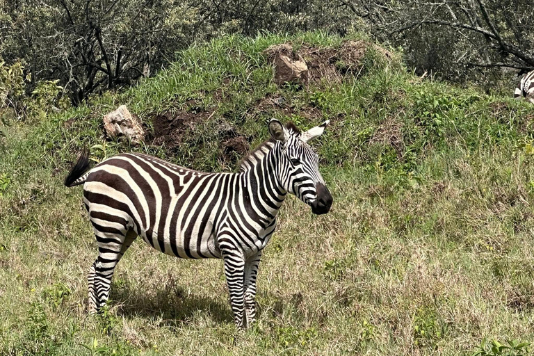 Nairobi: Hell’s Gate Park Cycling & Lake Naivasha Tour