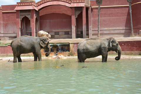 Benidorm: Terra Natura and Aqua Natura Combo Day Ticket Benidorm: Terra Natura and Aqua Natura 1-Day Ticket