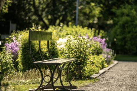 Cascade des Dieux + Jardin botanique &amp; Promenade dans la ville.