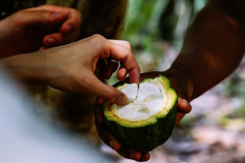 ZANZIBAR: Spice Farm, Jozani Forest, & Relax in Mtende beach Private Tour With Hotel Pickup and drop-off off included