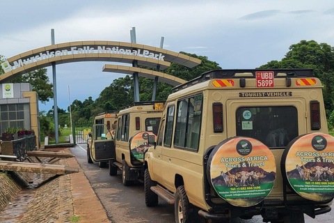 Entebbe: Safari w Parku Narodowym Murchison Falls 3 dni/2 noceEntebbe: Safari w rezerwacie przyrody Murchison Falls 3 dni/2 noce