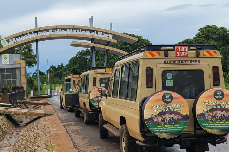 Entebbe: Safari w Parku Narodowym Murchison Falls 3 dni/2 noceEntebbe: Safari w rezerwacie przyrody Murchison Falls 3 dni/2 noce