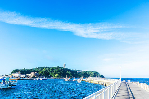 Tour de 1 dia pelo Buda de Kamakura, Enoshima, santuário saindo de TóquioVocê será buscado na estação de Shinjuku às 8h30