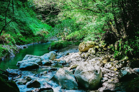 Fukuoka: Takachiho Gorge & Scenic Railway One Day Tour Limited-Time One-Day Tour (Excluding Admission Fees)