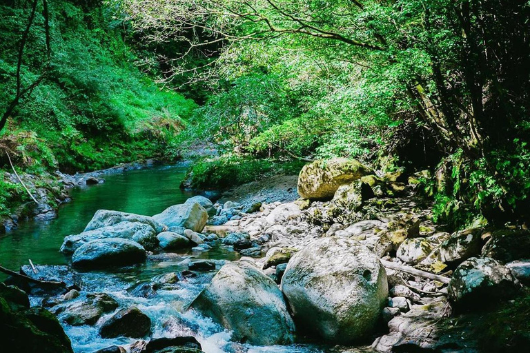 Fukuoka: Takachiho Gorge & Scenic Railway One Day Tour Limited-Time One-Day Tour (Excluding Admission Fees)