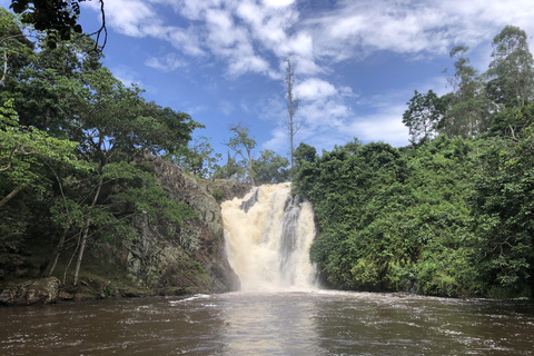 From Kampala: Mabira Forest Walk & Ssezibwa Falls Experience