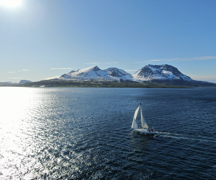 Harstad: Fjordcruise sailing with skipper
