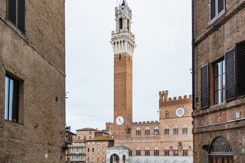 Florence: Expérience de Pise, Sienne, San Gimignano et ChiantiVisite en anglais