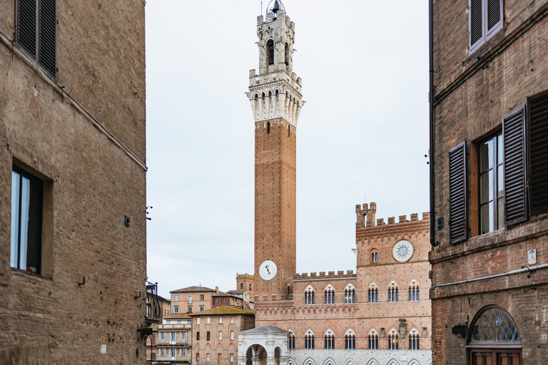 Firenze: Pisa, Siena, San Gimignano e l&#039;esperienza del Chianti