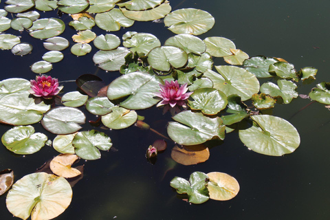 Portland: Lan Su Chinese Garden General Admission Ticket
