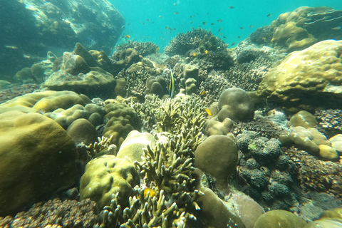 From Khao Lak: Phi Phi, Maya bay & Khai island Day Trip