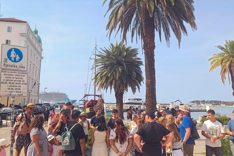 Split Walking Tour with History Professor