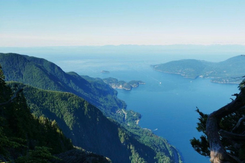Vancouver: St. Mark's Summit Guided Hike