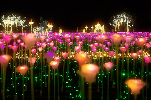 皇家花园灯光：维拉努夫宫夜间活动英语、西班牙语、德语、俄语、波兰语导览