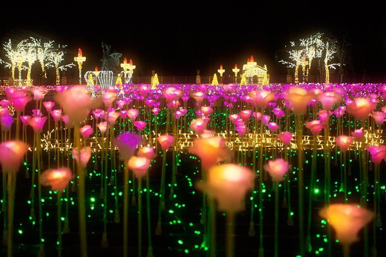 皇家花园灯光：维拉努夫宫夜间活动英语、西班牙语、德语、俄语、波兰语导览