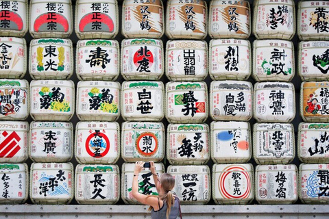 Tokyo: Instagram Highlights Tour with Licensed Guide