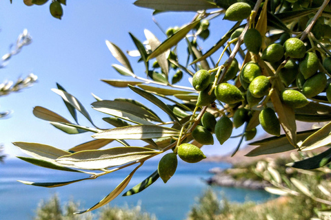 Cinque giorni di esplorazione culinaria nel Peloponneso laconico