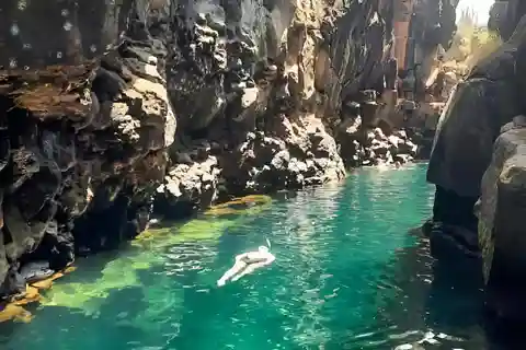 VISITA AL RANCH ECOLOGICO DI HIGHLANDS + TOUR DI MEZZA BAIA DI SANTA CRUZ