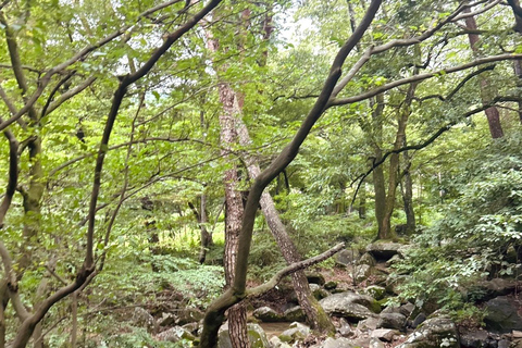 Busan: Beomeosa Temple Tour with Meal and Hike Option