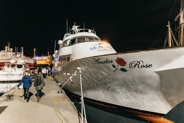 Reykjavik : tour en yacht de luxe et aurores boréalesReykjavik : yacht et aurores boréales depuis votre hôtel